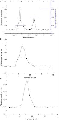 Polysaccharides Derived From the Brown Algae Lessonia nigrescens Enhance Salt Stress Tolerance to Wheat Seedlings by Enhancing the Antioxidant System and Modulating Intracellular Ion Concentration